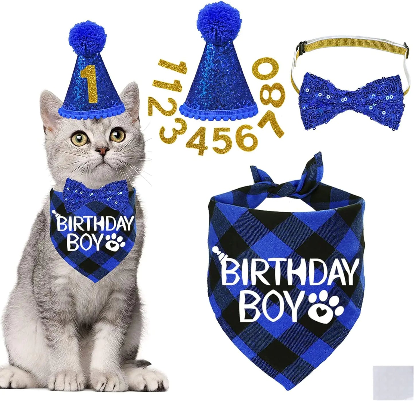 Pet Birthday Glitter Bow Tie and Hat Set with Decor