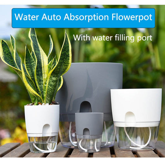 Self Watering Flowerpot