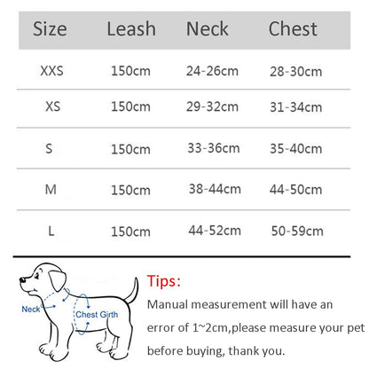 Dog Harness Leash Set